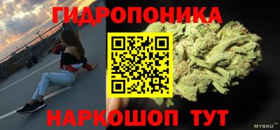 jwh Можга