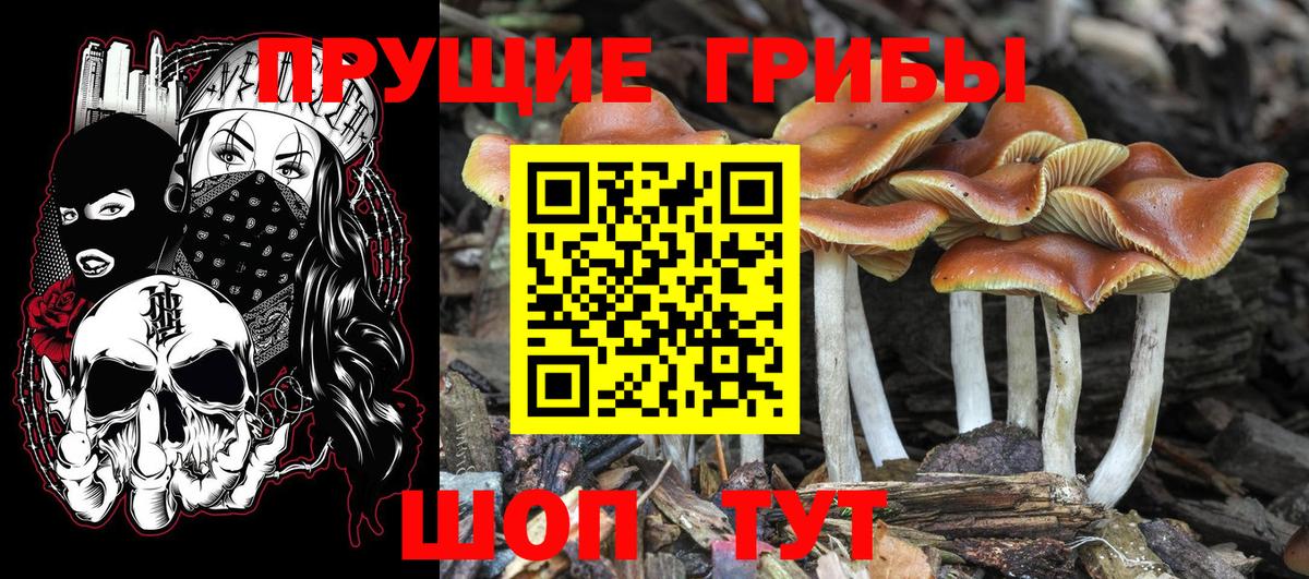 Псилоцибиновые грибы Magic Shrooms Вичуга