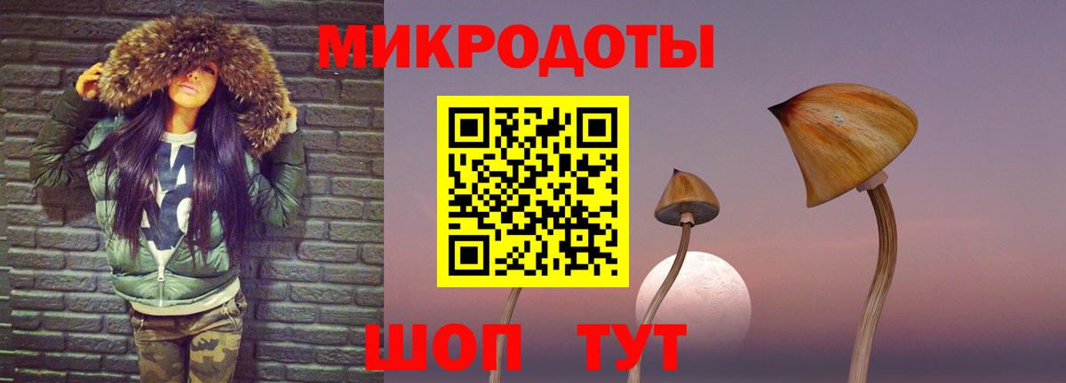 Галлюциногенные грибы MAGIC MUSHROOMS  Вход с VPN  Вичуга 